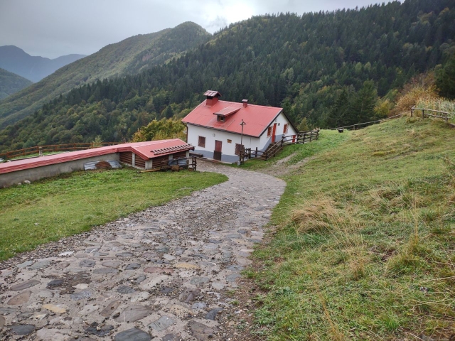 Anello Rifugio Fornas - Duron - Cuar - Navantes - Corce - Tamarinis