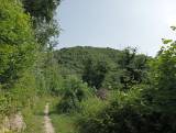 Strada bianca sull'anello di Sanguarzo e Monte Mladesiena