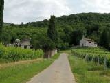 Chiesetta di San Floreano sulStrada bianca sull'anello di Sanguarzo e Monte Mladesiena