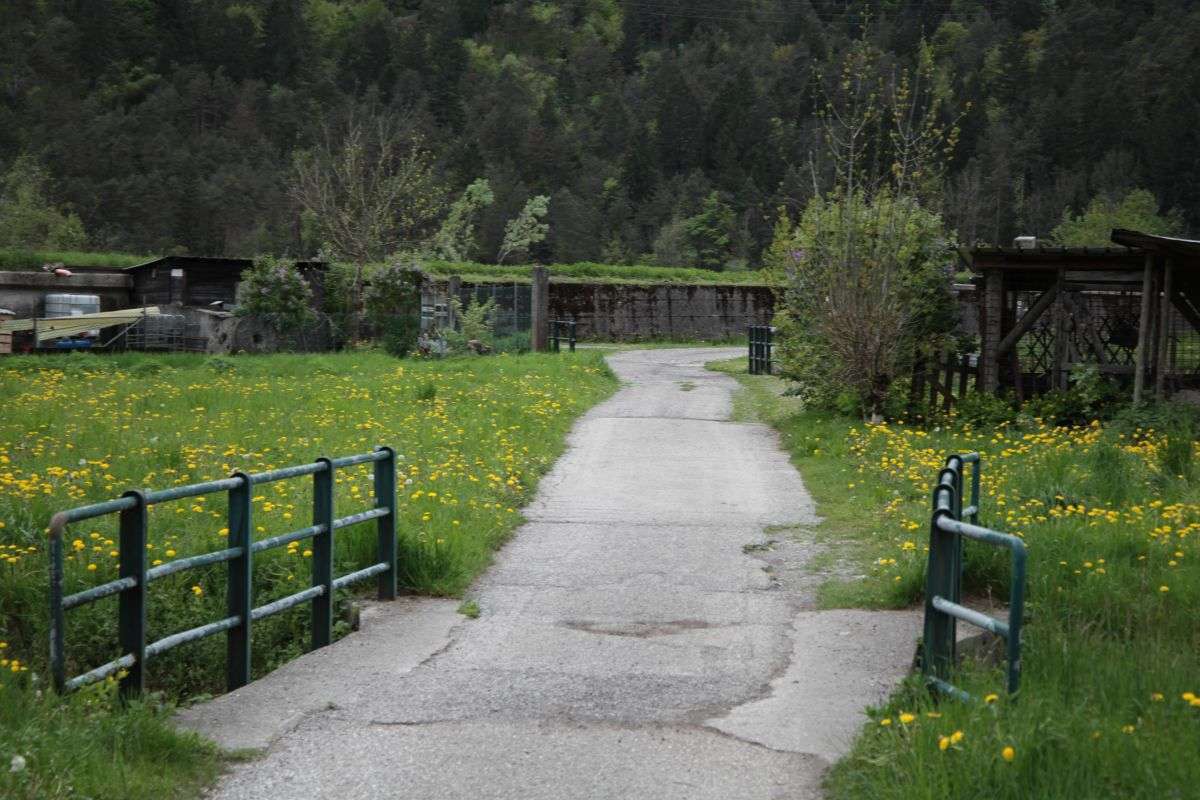 ciclabile_verso_largine_del_tagliamento_20160517_1437749481.jpg
