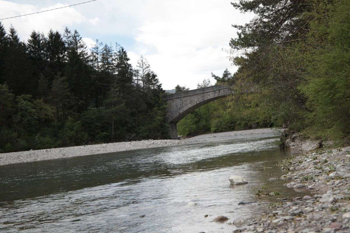 ponte_sul_tagliamento_20160517_1392948967.jpg