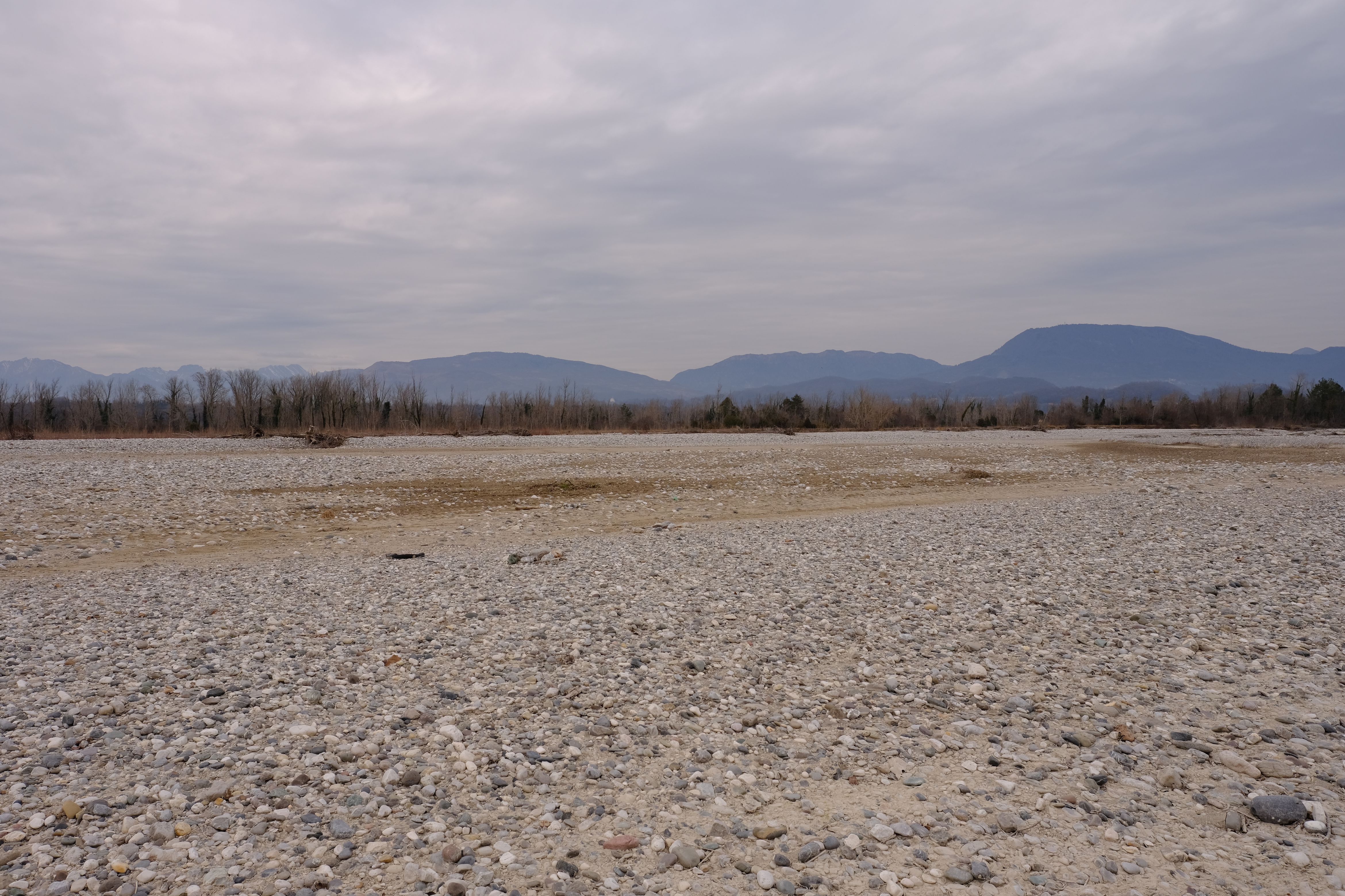 DSCF0064.jpg