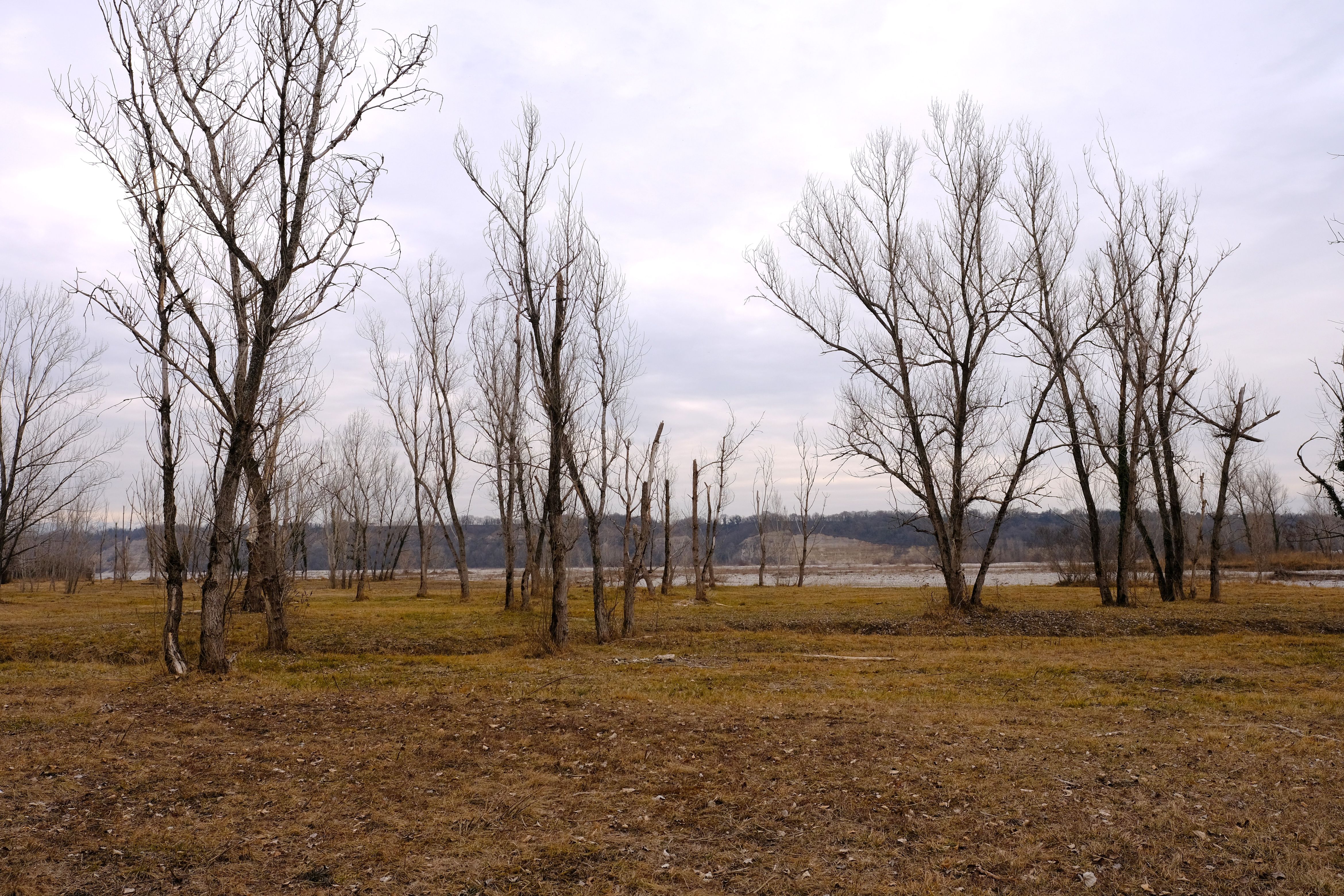 DSCF0073.jpg