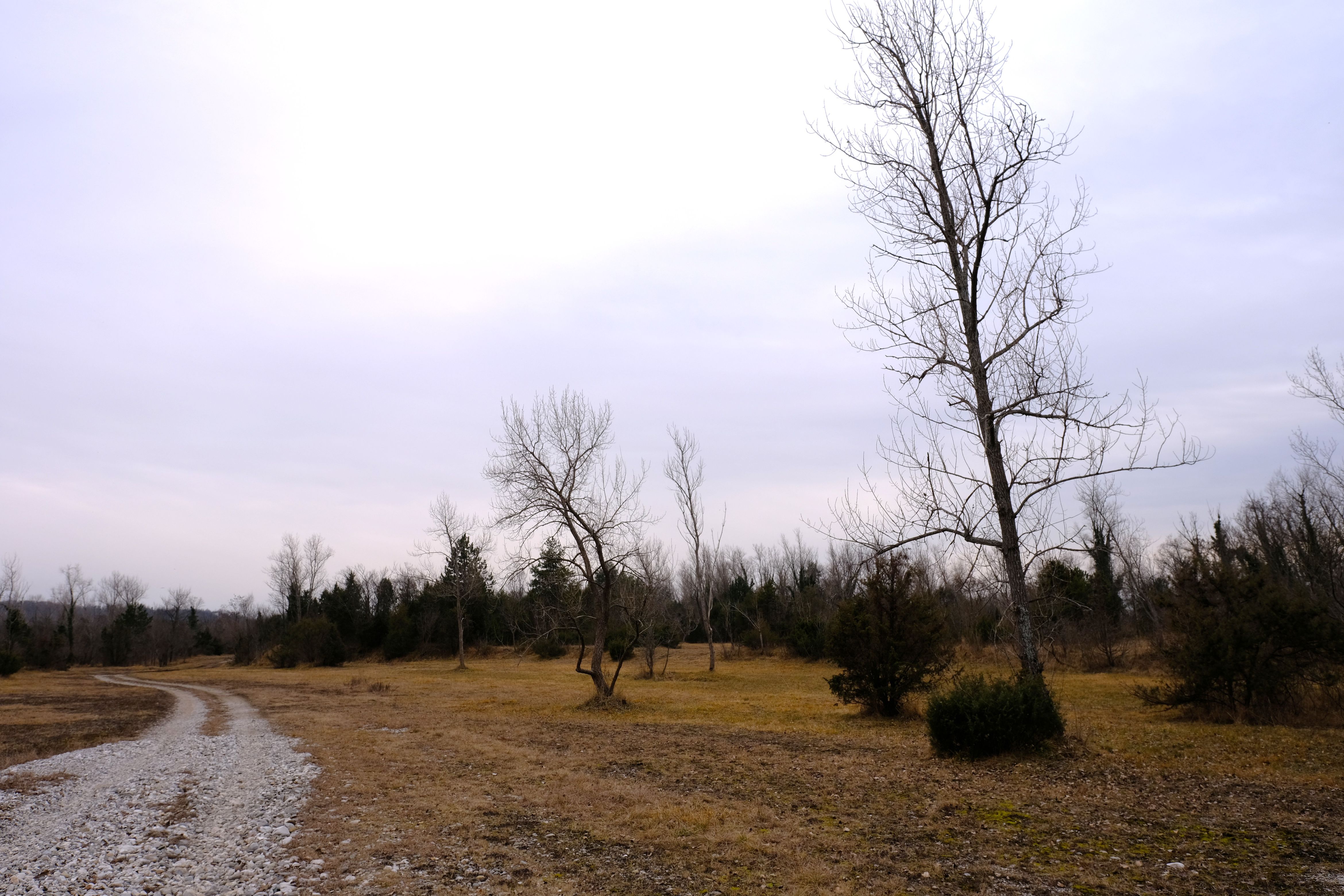 DSCF0077.jpg