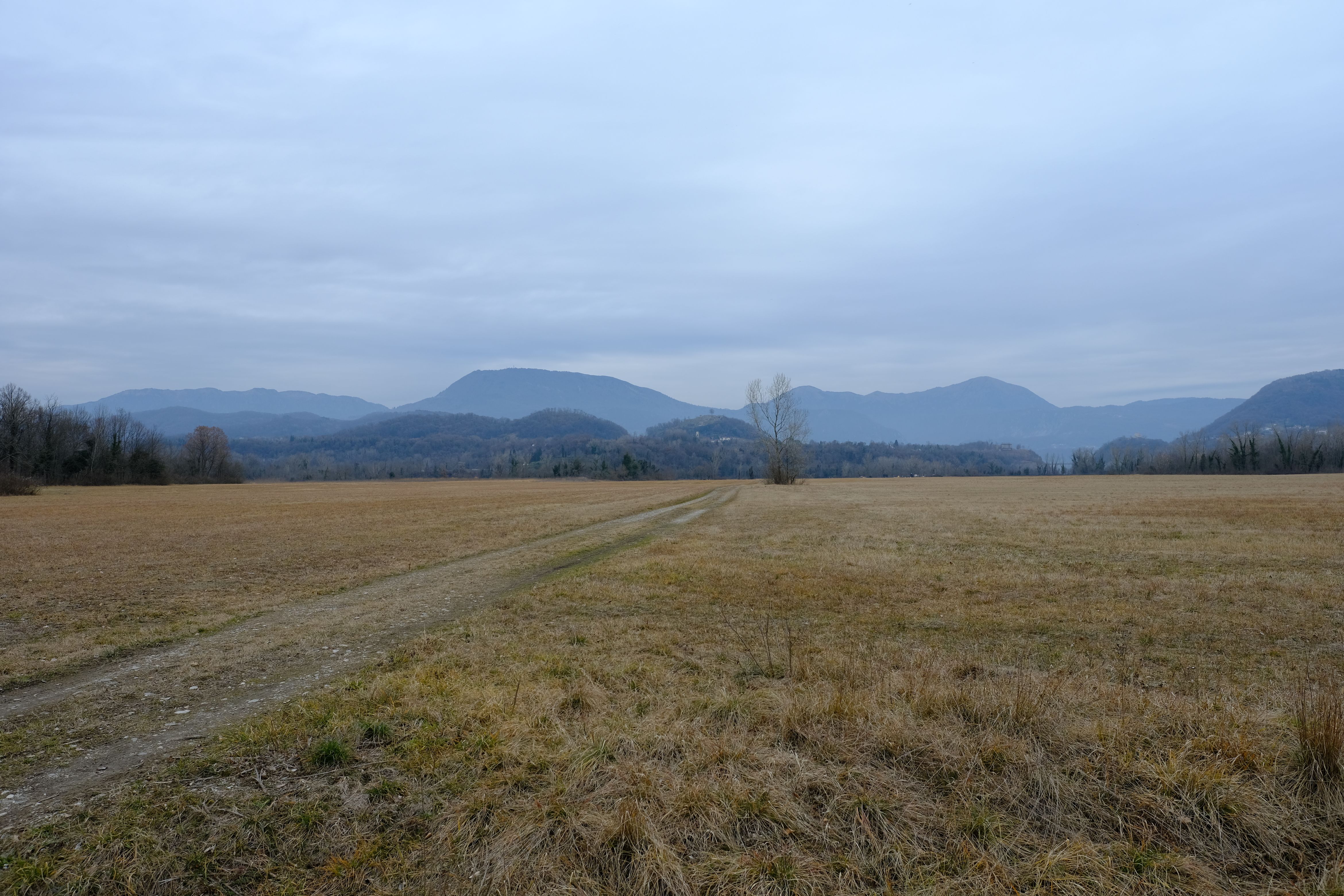 DSCF0079.jpg