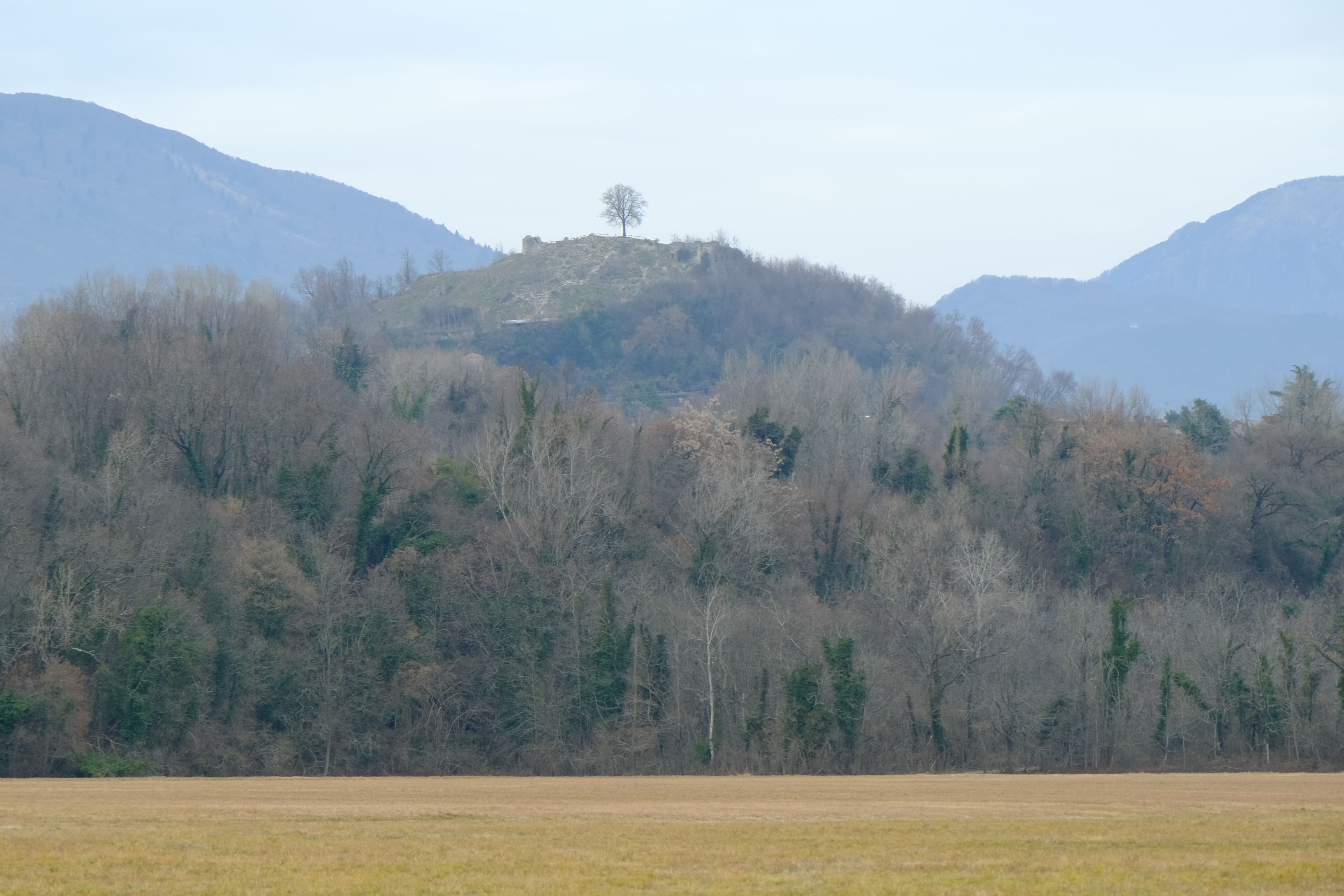 DSCF0080.jpg