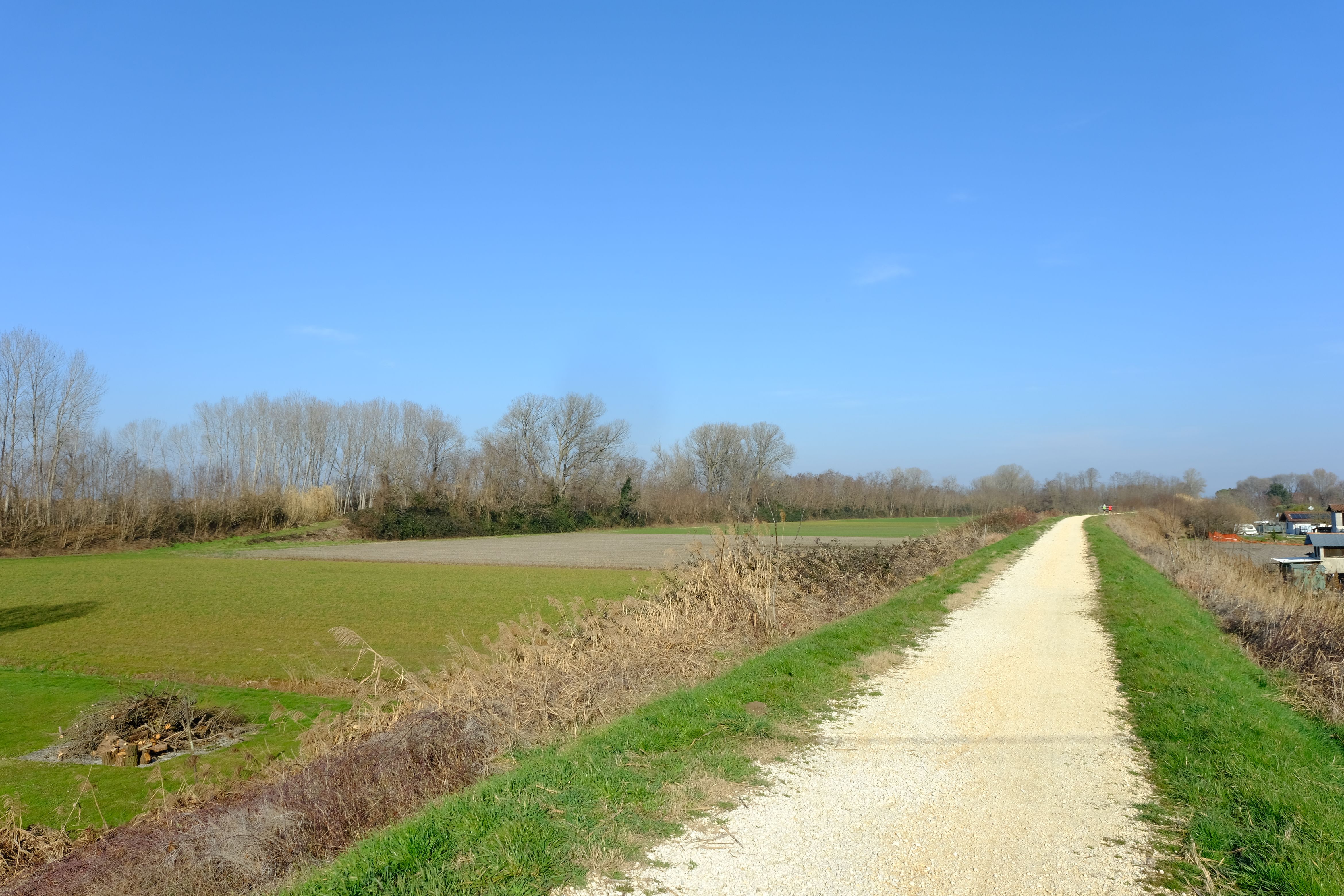 DSCF0084.jpg