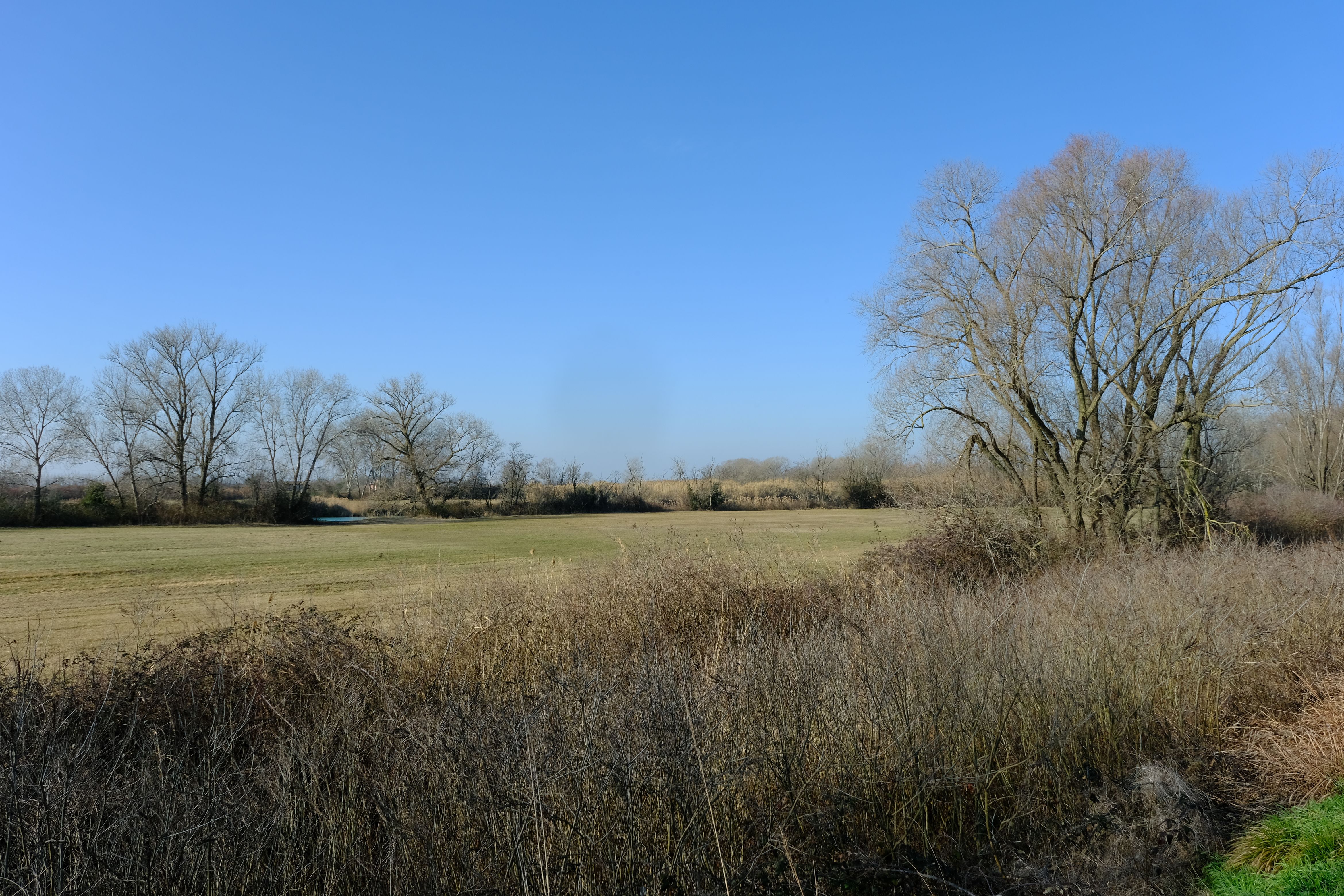 DSCF0088.jpg