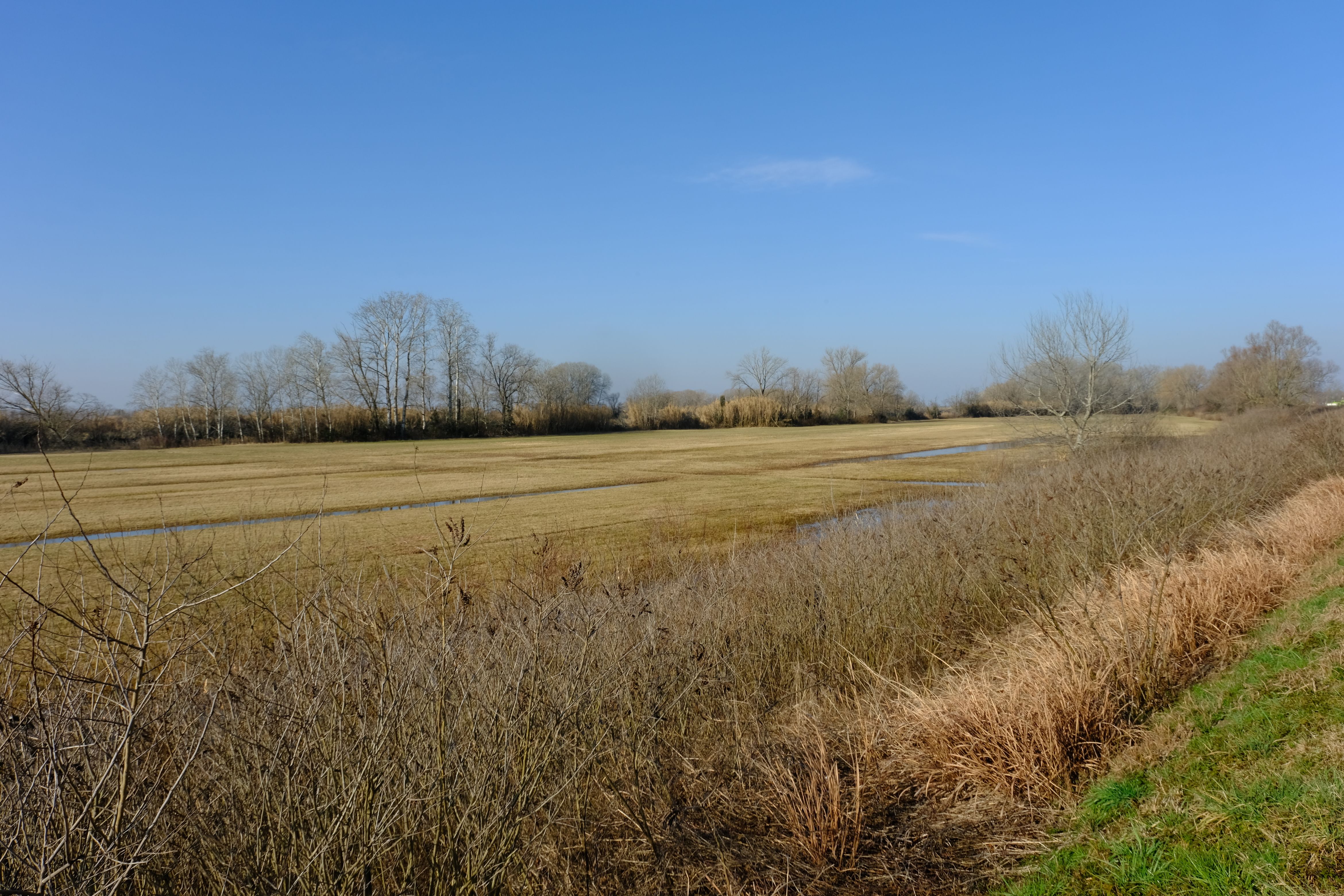 DSCF0090.jpg
