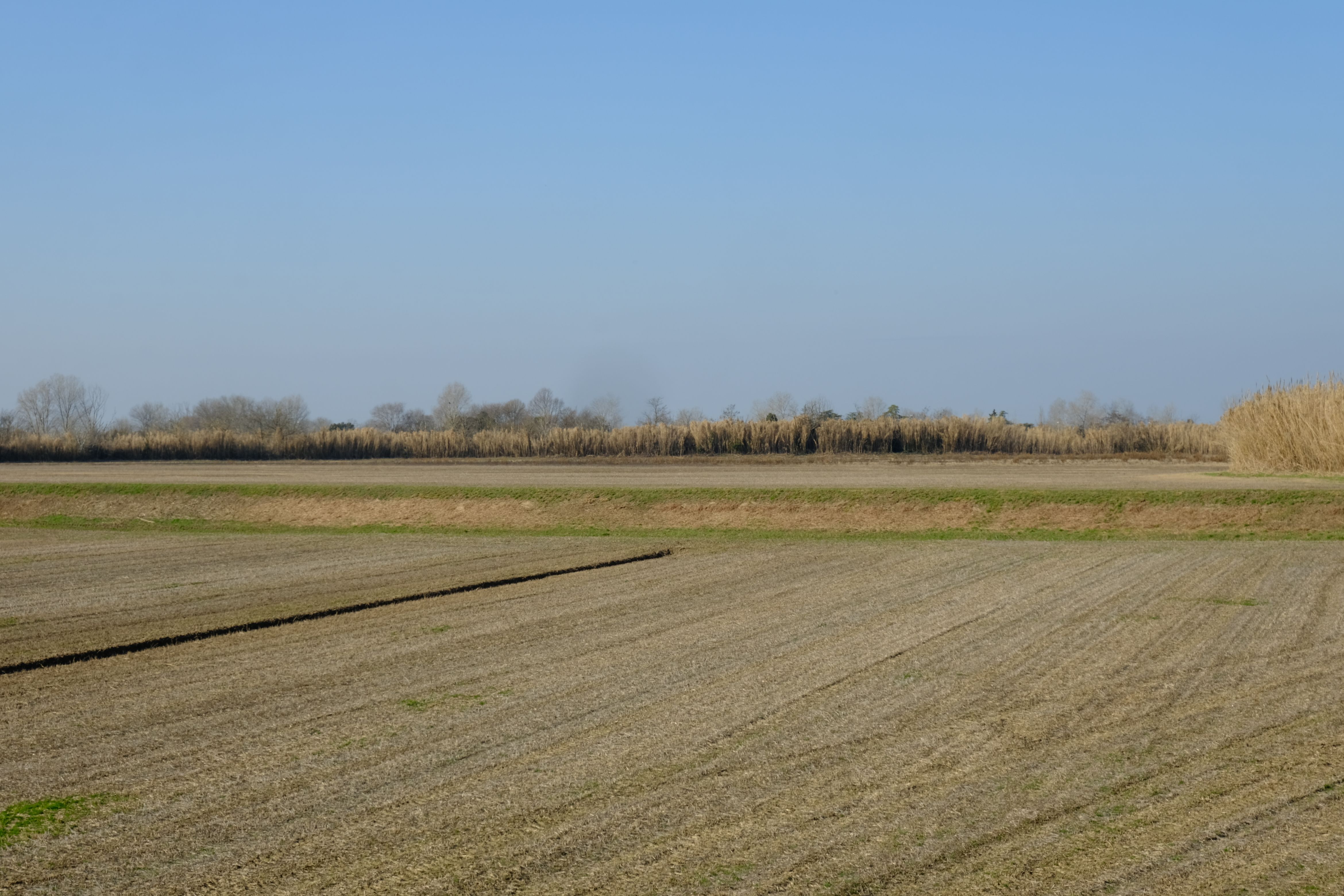DSCF0096.jpg