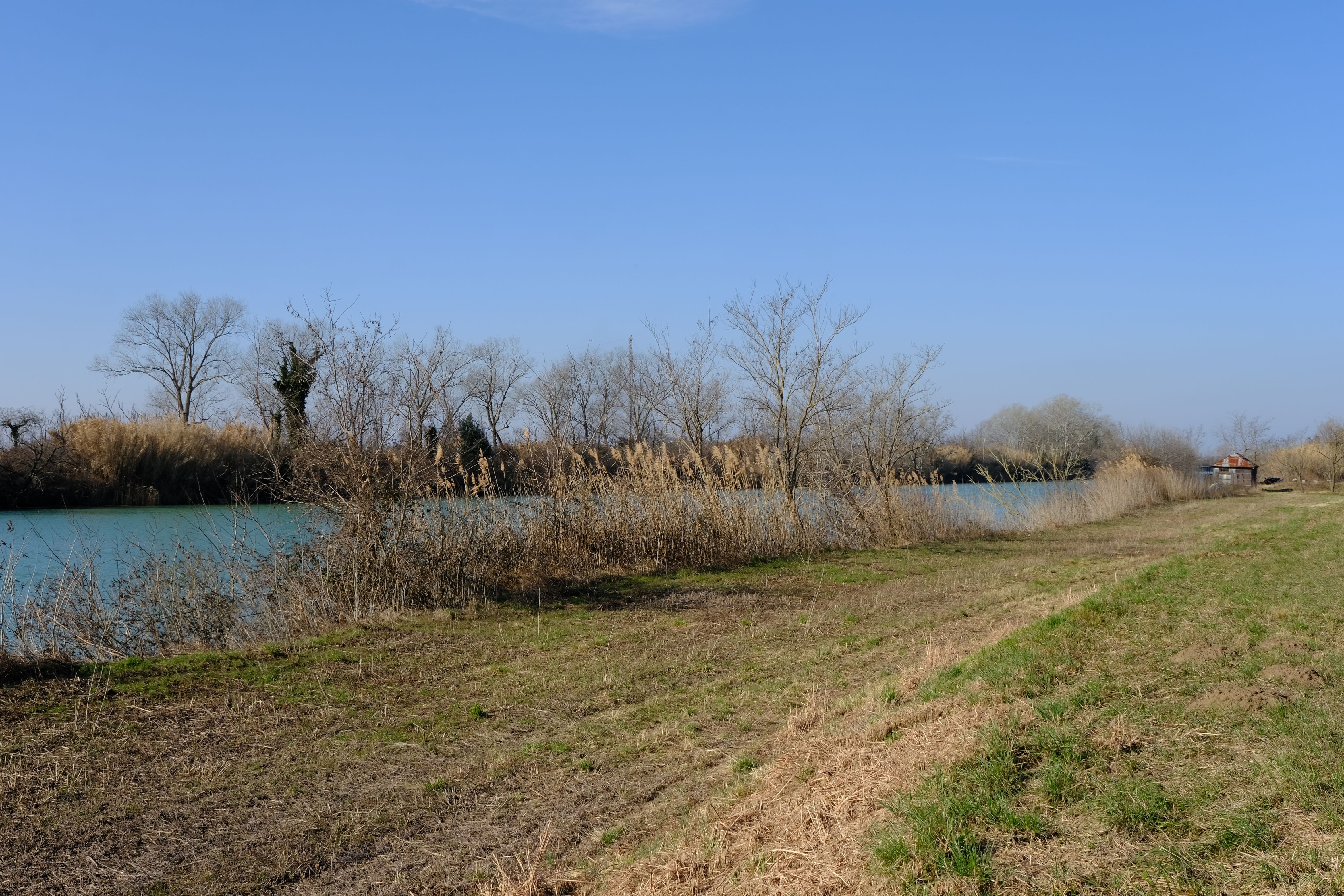 DSCF0112.jpg