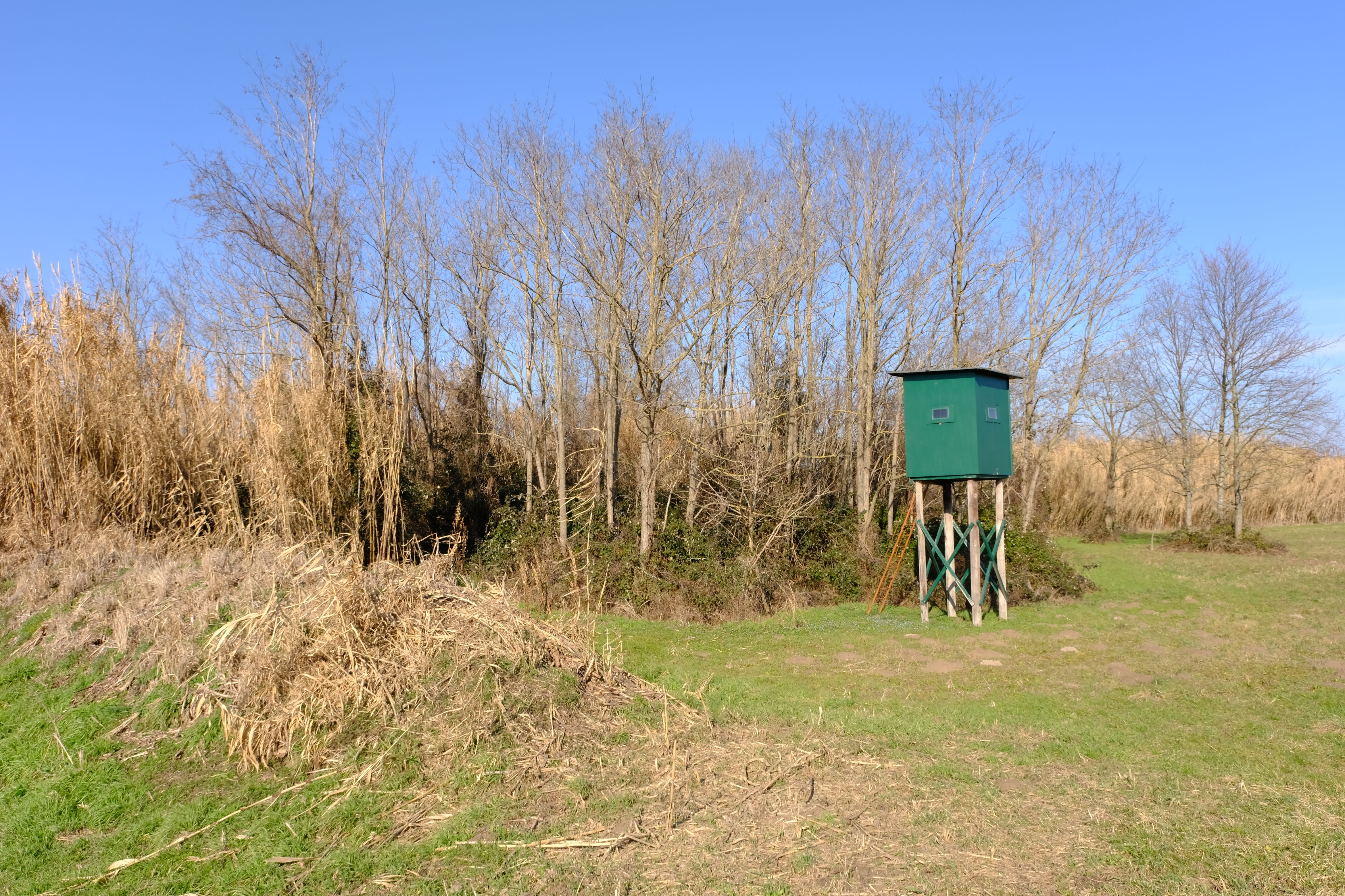 DSCF0121.jpg