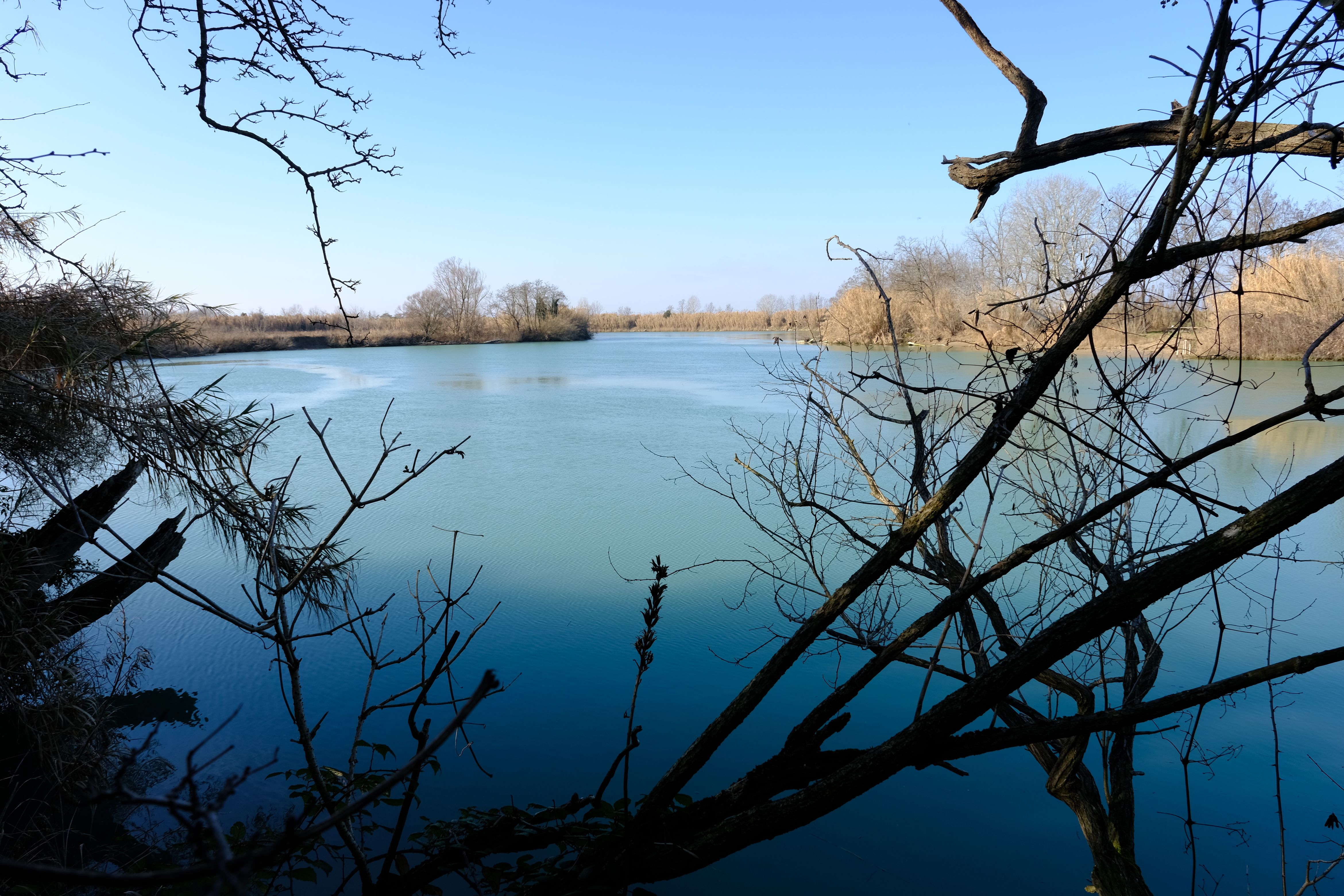 DSCF0122.jpg