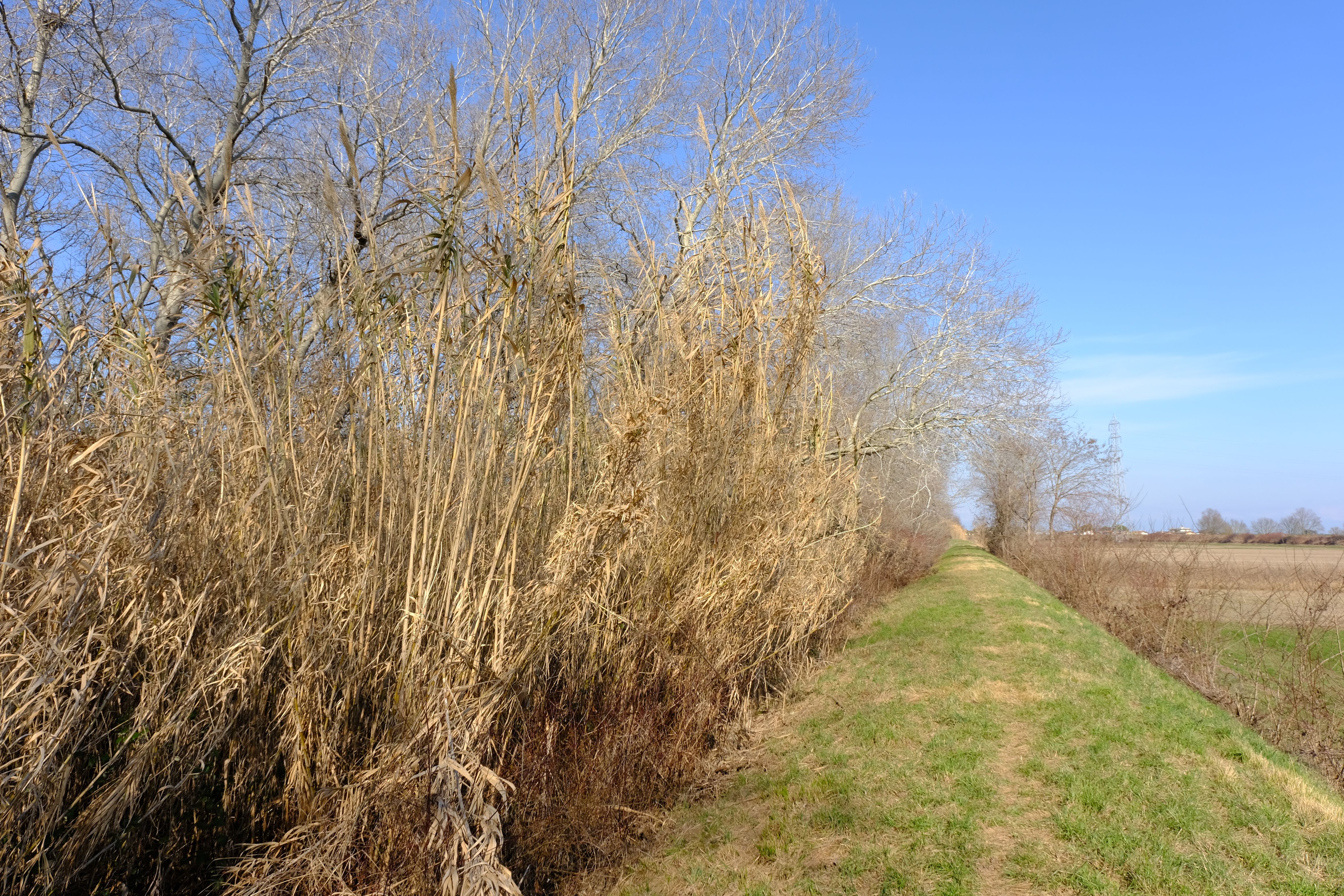 DSCF0124.jpg