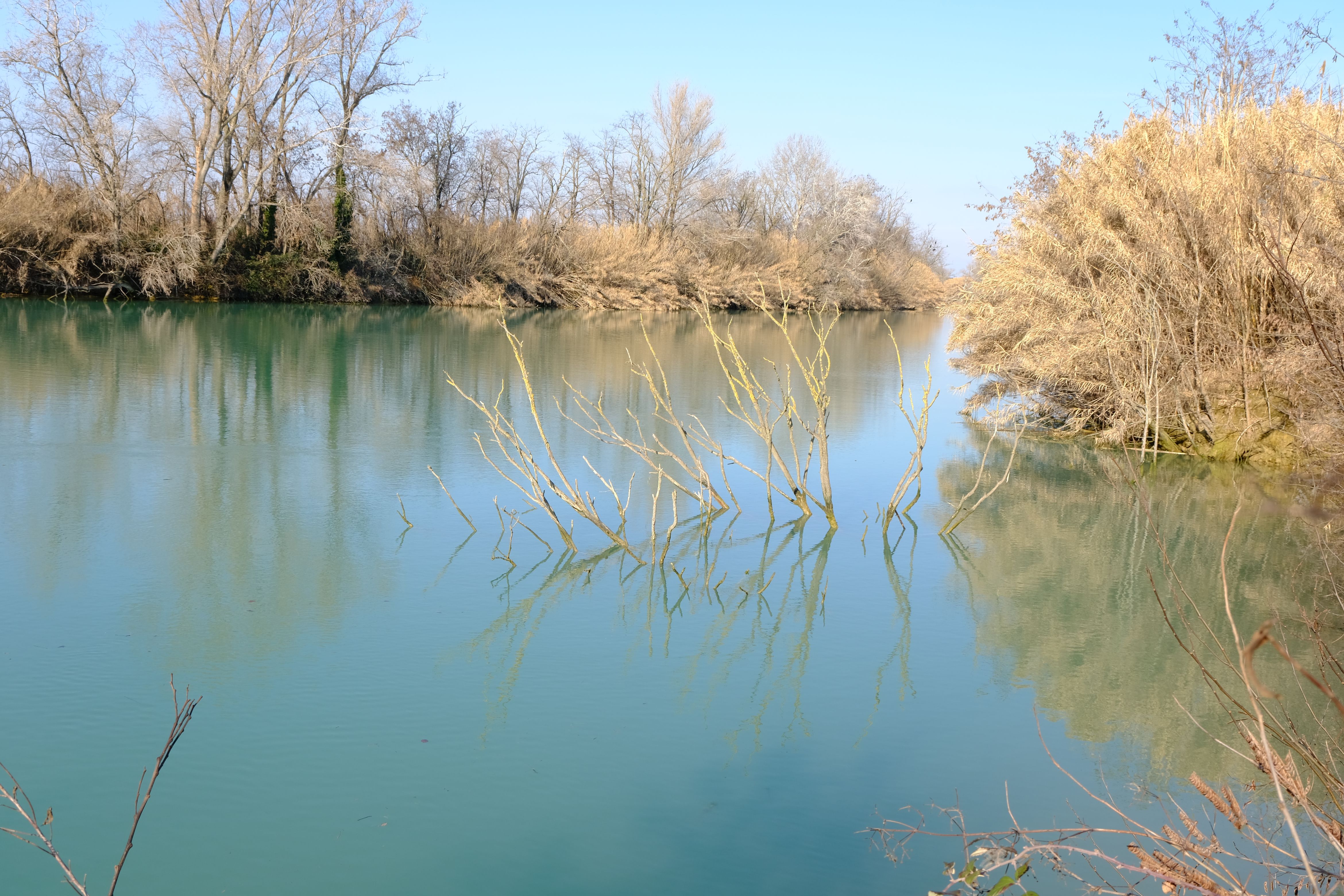 DSCF0128.jpg