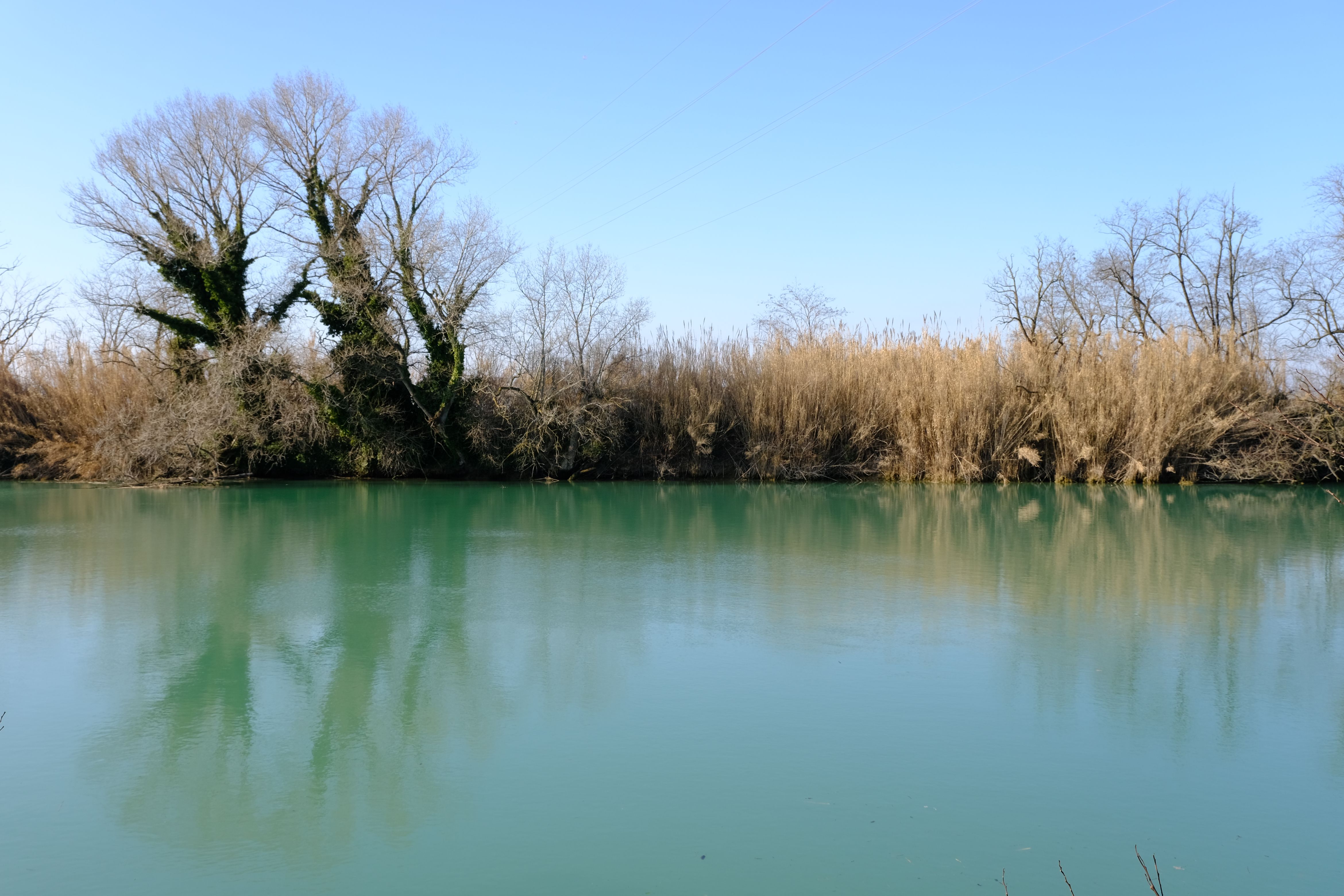 DSCF0130.jpg