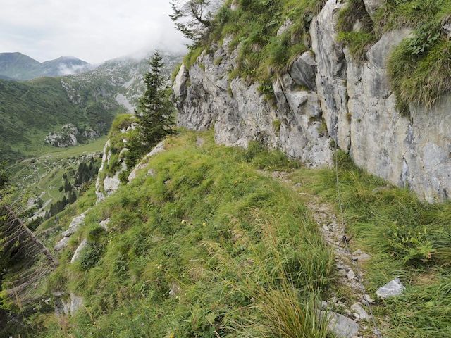 Creta di Collinetta per il Cellon Schulter