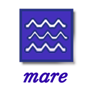 mare